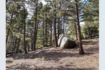 342 Ponderosa View, Manitou Springs, CO 80829 - Photo 7