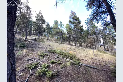 342 Ponderosa View, Manitou Springs, CO 80829 - Photo 9