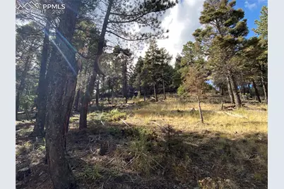 342 Ponderosa View, Manitou Springs, CO 80829 - Photo 13