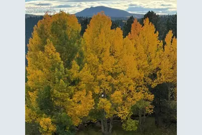 910 Spacious Skies Drive, Woodland Park, CO 80863 - Photo 45