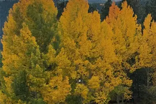 910 Spacious Skies Dr, Woodland Park, CO 80863 - Photo 45