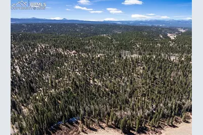 4265 County Road 51 Road, Divide, CO 80814 - Photo 47