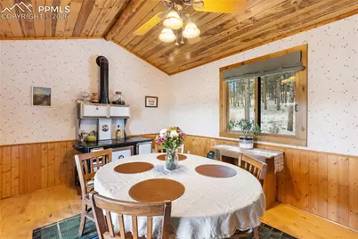 901 Wilson Drive, Florissant, CO 80816 - Photo 7
