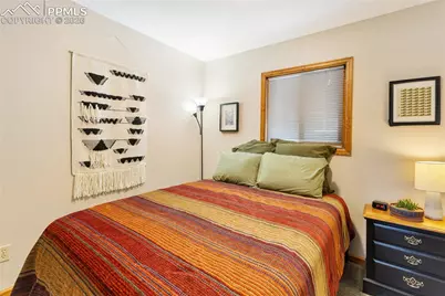 901 Wilson Drive, Florissant, CO 80816 - Photo 17