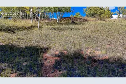 136 Gold Crown Circle, Cripple Creek, CO 80813 - Photo 23