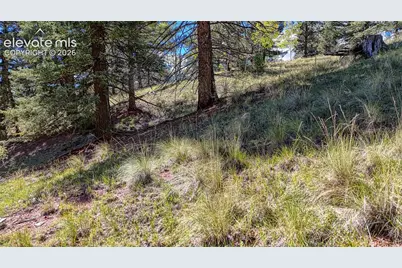 136 Gold Crown Circle, Cripple Creek, CO 80813 - Photo 27