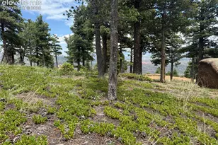 254 Grand Horizon View, Manitou Springs, CO 80829 - Photo 1