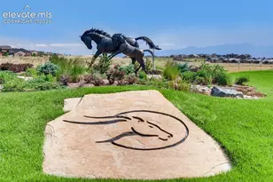1937 Redbank Dr, Colorado Springs, CO 80921 - Photo 39