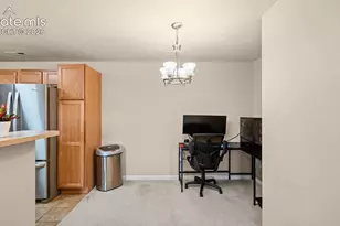 605 Cougar Bluff Point, Colorado Springs, CO 80906 - Photo 11