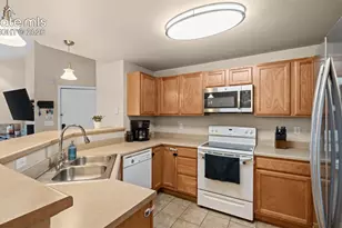 605 Cougar Bluff Point, Colorado Springs, CO 80906 - Photo 9