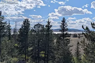 163 Cutthroat Dr, Lake George, CO 80827 - Photo 7