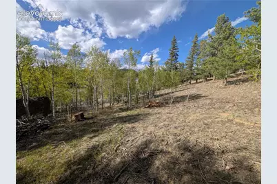 163 Cutthroat Drive, Lake George, CO 80827 - Photo 27