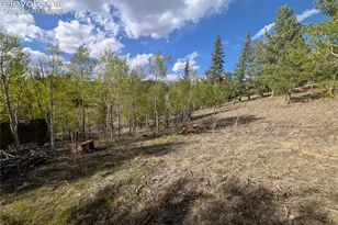 163 Cutthroat Dr, Lake George, CO 80827 - Photo 27