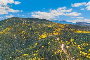 3200 Elk Ridge, Divide, CO 80814 - Photo 47