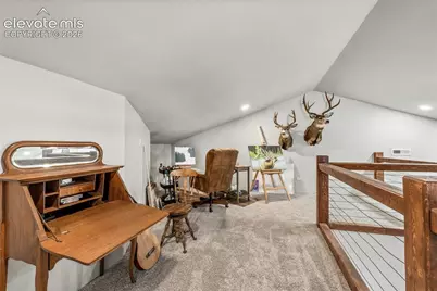 2270 Pikes Peak Drive, Florissant, CO 80816 - Photo 33