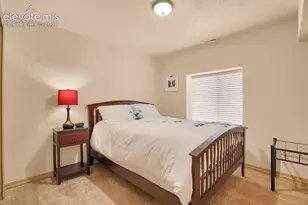 335 Pyrite Terrace, Colorado Springs, CO 80905 - Photo 11