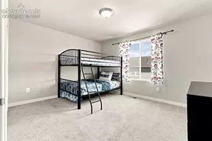 2382 Pelican Bay Dr, Monument, CO 80132 - Photo 29