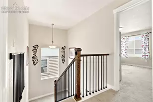 2382 Pelican Bay Dr, Monument, CO 80132 - Photo 39