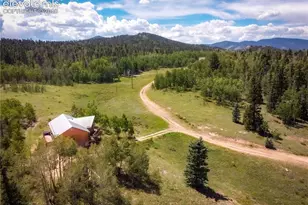 44 Fawn Cir, Florissant, CO 80816 - Photo 33