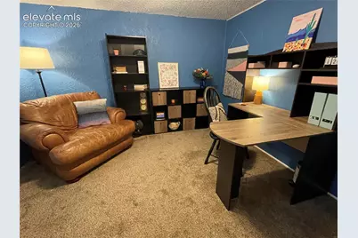 5107 Sonata Drive, Colorado Springs, CO 80918 - Photo 21