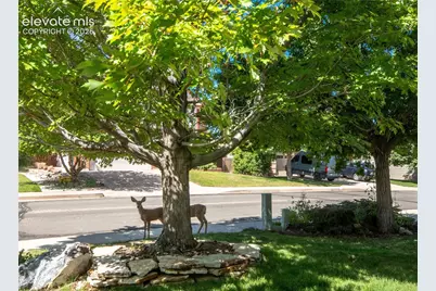 6151 Treeledge Drive, Colorado Springs, CO 80918 - Photo 3