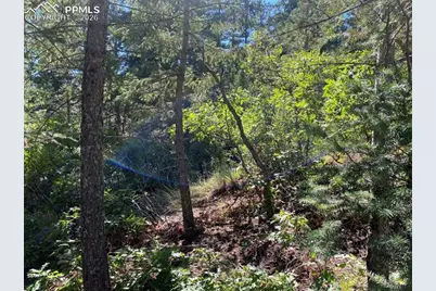 231 Upper Sun Valley Road, Manitou Springs, CO 80829 - Photo 9
