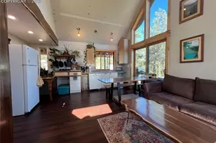 254 E Cobb Ln, Guffey, CO 80820 - Photo 7