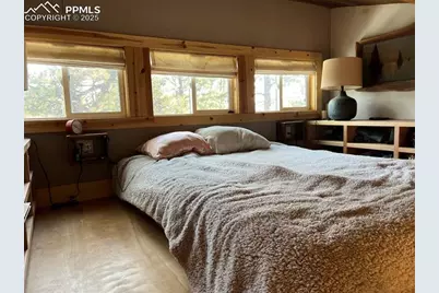 254 E Cobb Lane, Guffey, CO 80820 - Photo 19
