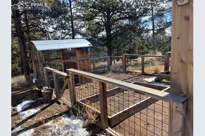 254 E Cobb Lane, Guffey, CO 80820 - Photo 37