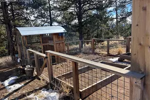254 E Cobb Ln, Guffey, CO 80820 - Photo 37