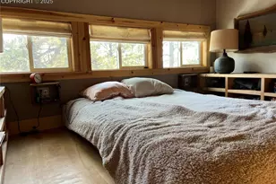 254 E Cobb Ln, Guffey, CO 80820 - Photo 19