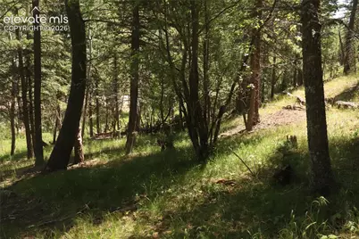 286 Coffee Road, Manitou Springs, CO 80829 - Photo 5