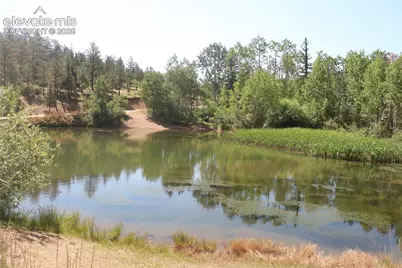 286 Coffee Road, Manitou Springs, CO 80829 - Photo 9