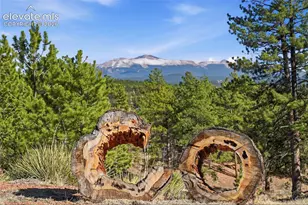 556 Circle Dr, Florissant, CO 80816 - Photo 41