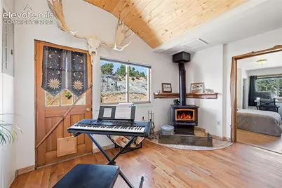 556 Circle Drive, Florissant, CO 80816 - Photo 7
