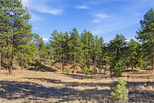 556 Circle Dr, Florissant, CO 80816 - Photo 43