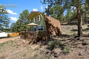 301 Circle Dr, Florissant, CO 80816 - Photo 35