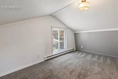 301 Circle Drive, Florissant, CO 80816 - Photo 23