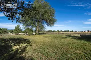 13475 Old Pueblo Rd, Fountain, CO 80817 - Photo 3