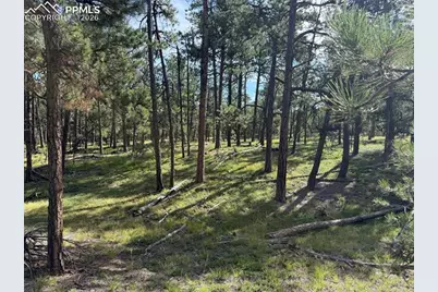 17405 E Goshawk Road, Colorado Springs, CO 80908 - Photo 5