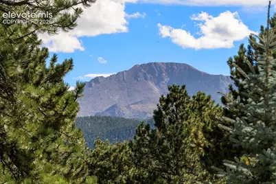 2441 Glen Cove Drive, Woodland Park, CO 80863 - Photo 13