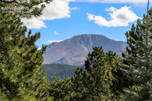 2441 Glen Cove Dr, Woodland Park, CO 80863 - Photo 13