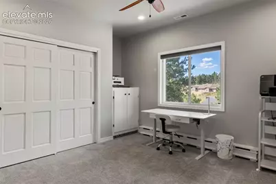 2441 Glen Cove Drive, Woodland Park, CO 80863 - Photo 23