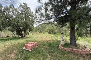 1710 Rock Ridge Pl, Colorado Springs, CO 80926 - Photo 29