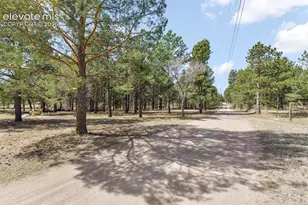11165 Pine Meadows Rd, Colorado Springs, CO 80908 - Photo 43