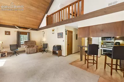 10311 El Paso Avenue, Green Mountain Falls, CO 80819 - Photo 15