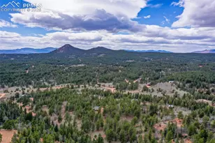 185 Wildcat Creek Dr, Florissant, CO 80816 - Photo 39