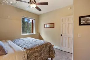 185 Wildcat Creek Dr, Florissant, CO 80816 - Photo 27