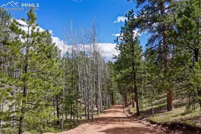 185 Wildcat Creek Drive, Florissant, CO 80816 - Photo 45