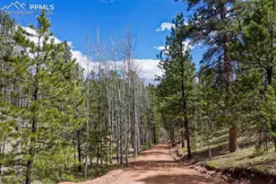 185 Wildcat Creek Dr, Florissant, CO 80816 - Photo 45